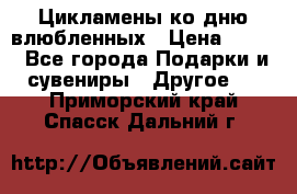 Цикламены ко дню влюбленных › Цена ­ 180 - Все города Подарки и сувениры » Другое   . Приморский край,Спасск-Дальний г.